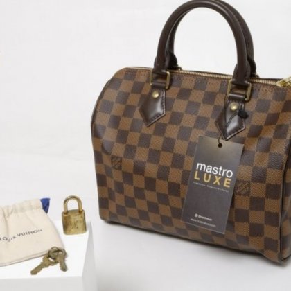 Louis Vuitton Speedy 25 - Mastro Luxe